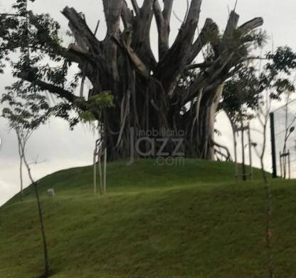 Imagem 12 de 23 de Terreno À Venda, Alphaville Dom Pedro 2, Campinas. - Te2753