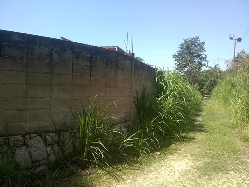 Imagen 13 de 14 de Terreno En El Castaño Palmarito 04128887550