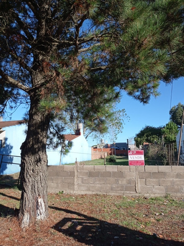 Imagen 2 de 3 de Venta Lote De Terreno En San Bernardo