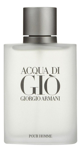 Perfume Acqua Di Gio Pour Homme Masc. 100ml Giorgio Armani