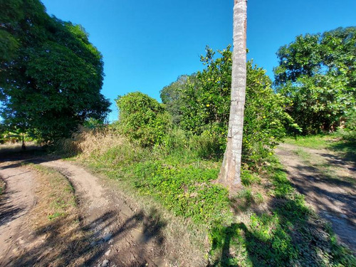 Venta Terreno 1538 M² Col. Juana Moza Tuxpan Veracruz