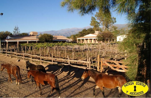 2071hp 100 Has Finca C/riego Y Hosteria. Valles Calchaquies