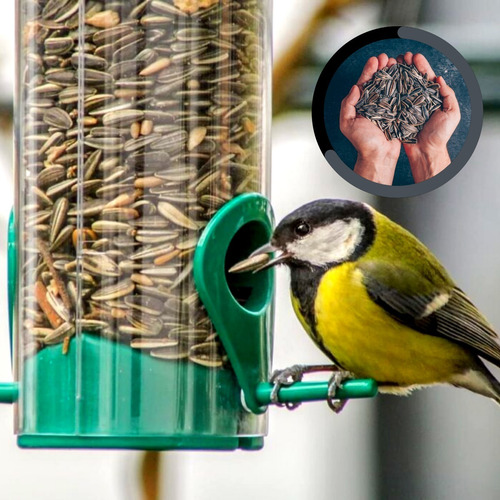 Imagem 5 de 6 de Sementes De Girassol Graúdo Pássaro Aves Marpa- 250g