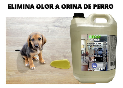 Eliminador Olor 5 L En Seco Orina Pis Gato Perro