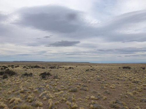 Inmobiliaria Comodoro - 20.000 Has Santa Cruz - Buenas Instalaciones - Rp 288