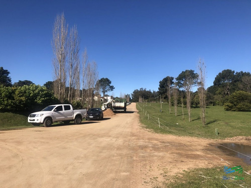 Imagen 15 de 16 de Terreno De 2000 M2 En Venta Zona Punta Ballena Barrio Los Tordillos - Punta Ballena Los Tordillos