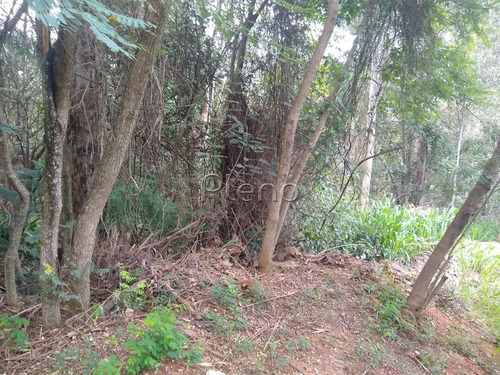 Imagem 11 de 15 de Terreno À Venda Em Joaquim Egídio - Te028079