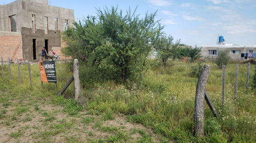 Lote De 500 M2 En Estación Conlara, Alambrado.