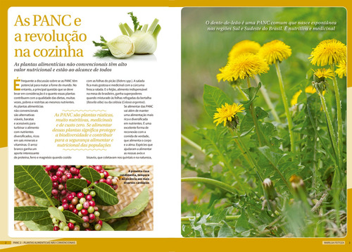PANC 2 - Plantas Alimentícias Não Convencionais, de Feitoza, Marilua. Editorial Editora Europa, capa mole em português, 2022