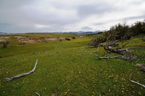 Agrícola En Venta En Coihaique