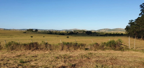 Chacra En Venta Pueblo Edén 5 Hectáreas Ruta 12