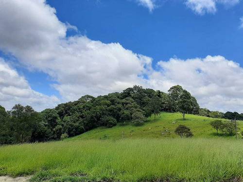 Imagem 14 de 14 de Os Melhores Terrenos No Interior De São Roque