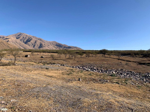 Imagen 9 de 14 de Venta 1hectareas 5907,75m2 Barcena Sobre Ruta