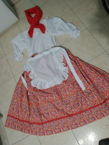 Traje Paisana Niña 4_6 Años Pollera 50 Cms Blusa 38 Cms Apro