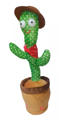 Cactus Bailarin  MercadoLibre 📦