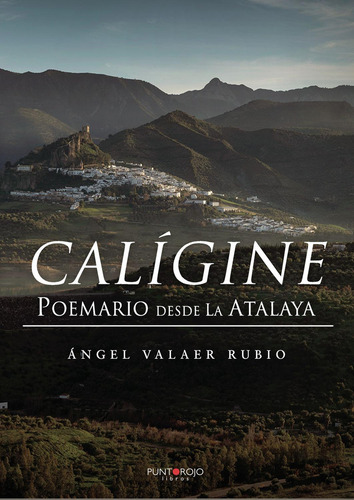 Calígine, De Valaer Rubio , Ángel.., Vol. 1.0. Editorial Punto Rojo Libros S.l., Tapa Blanda, Edición 1.0 En Español, 2032