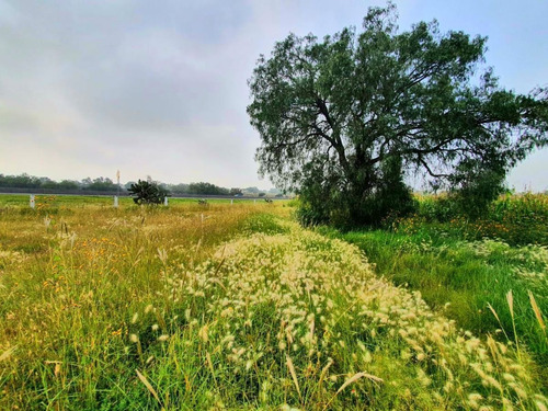 Imagen 8 de 11 de Venta De Terreno En Huitzila Tizayuca Hidalgo , Cerca Aeropu