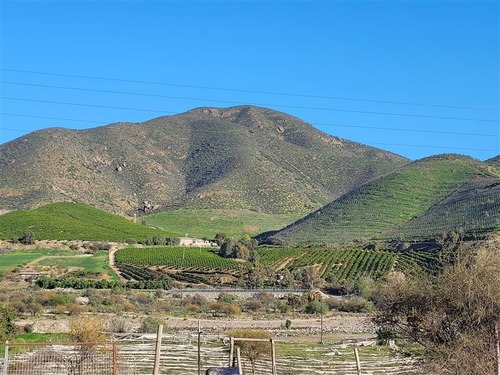 Imagen 3 de 15 de Agrícola En Venta En Monte Patria
