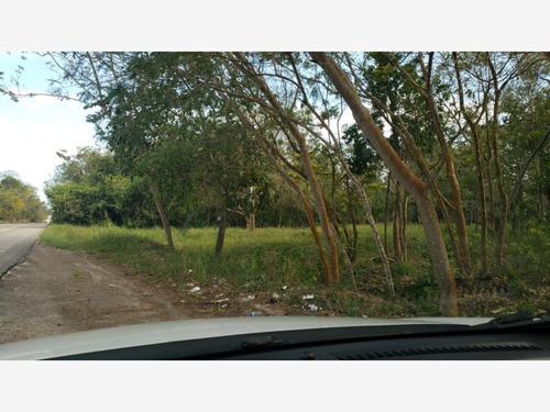 Terreno En Venta Aarón Merino [colonia]