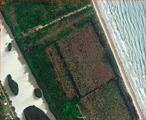 Venta Terreno 36,718 M² Frente A Playa De Tamiahua Veracruz