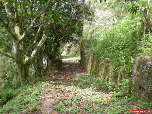 Imagen 7 de 12 de Venta De Terreno En San Jose De Los Altos Edo Miranda Rzxx
