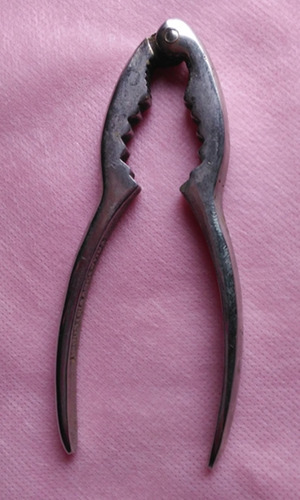 Rompe Nueces Antiguo (Usado)