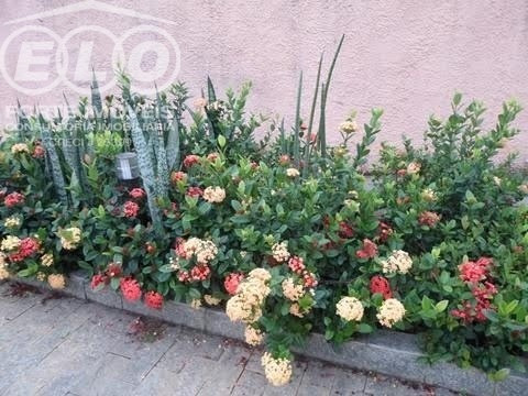 Imagem 21 de 30 de Ch00403- Oportunidade! Excelente Chácara, Com Grande Área De Lazer Á Venda No Condomínio- Terras De Itaici/ Indaiatuba-sp - Ch00403 - 69528756