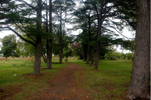 3,5 Hectareas En Venta, La Plata, Los Hornos