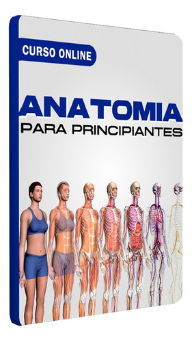 Curso De Anatomía Para Principiantes