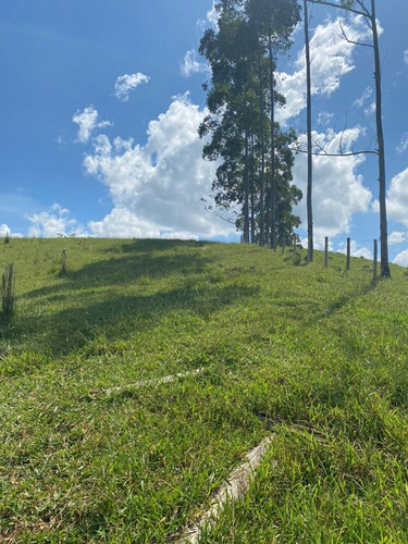 Imagem 2 de 21 de K06- Tenho O Terreno Que Você Procura