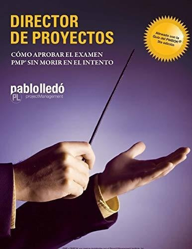 Director De Proyectos (color)&-.