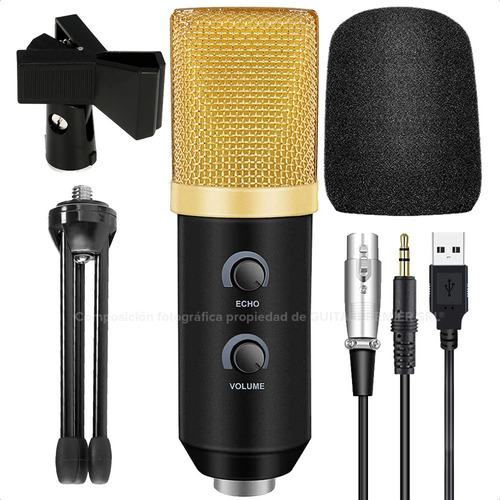 Kit Microfono Condenser Profesional Echo Camara Reverb Cable