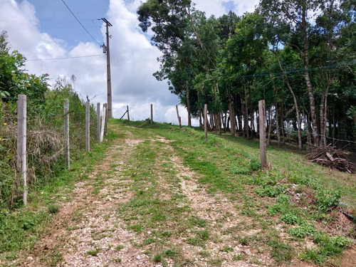 Chácara Na Lapa (feixo), Próximo A Mariental, Com 44.000 M2