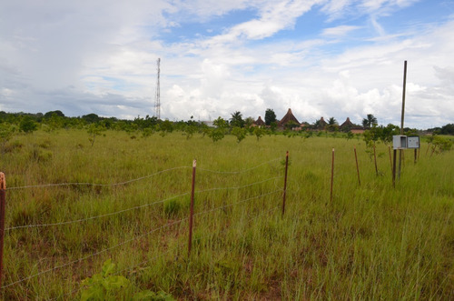 Imagen 4 de 28 de Se Vende Linda Finca En Oritupano