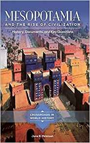 Mesopotamia And The Rise Of Civilization History, Documents,