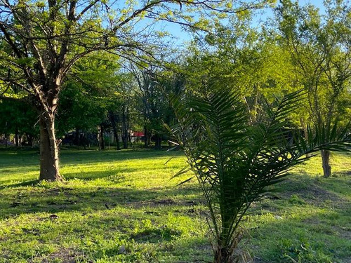 Terreno Entre Caminos . Zona Parque Ecológico