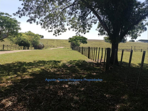Campo Ganadero Proximo Castillos