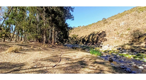 Imagen 24 de 30 de Venta. 67 Hectareas En Candonga, Cordoba. Con 2 Km De Costa De Rio. Titulos Perfectos