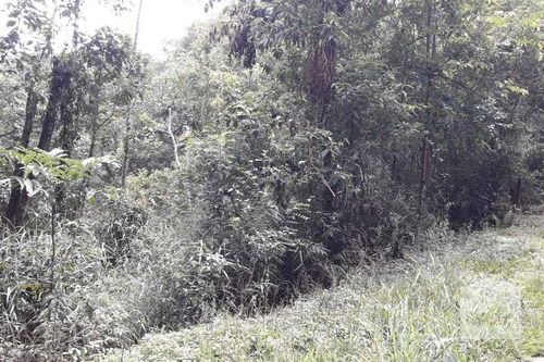 Imagem 1 de 5 de Lote À Venda No Arvoredo - Código 274038 - 274038