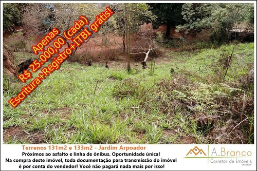 Imagem 6 de 8 de Terreno - Te00011 - 34599464