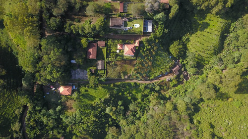 Imagem 8 de 8 de Lote / Terreno Em Cônego - Nova Friburgo - 217