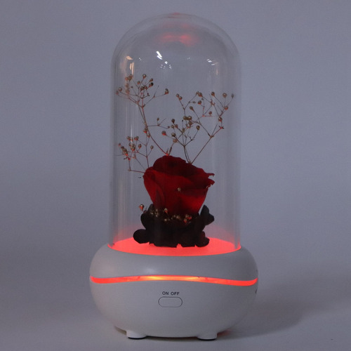 Lámpara De Noche Led Con Fragancia De Aceite Esencial, Luz D