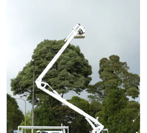 Grua Tipo Canasta Aislada