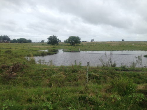 Chacra Con Casa En Buena Ubicación De Migues Reservado