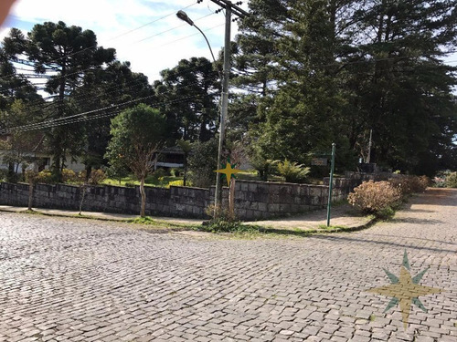 Imagem 1 de 5 de Área Central Para Empreendimentos - 217