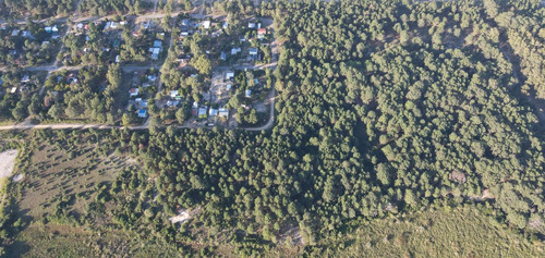 Campo En Colonia.