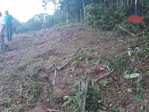 Imagem 5 de 11 de Terreno À Venda, 250 M² Por R$ 80.000 - Cabreúva - Mairiporã/sp - Te0229