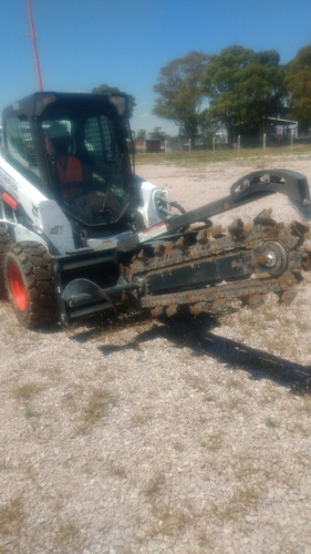 Bobcat