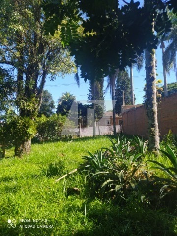 Imagem 14 de 24 de Chácara Dentro Da Cidade - Ch00117 - 69421011