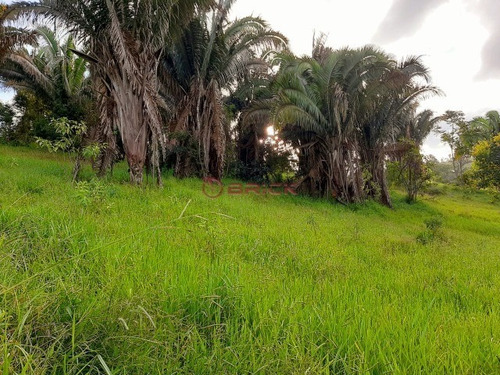 Imagem 6 de 16 de Sítio Com 27 Mil M² Em Sebastiana. - St00195 - 69410699